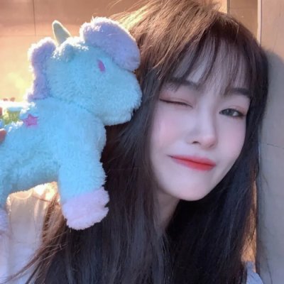 挎斗摩托车里的狗