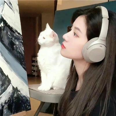 替天行道