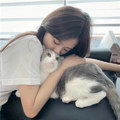我的情敌女婿